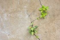 power-persistence-career