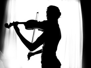 309683769_4e8749343b_o